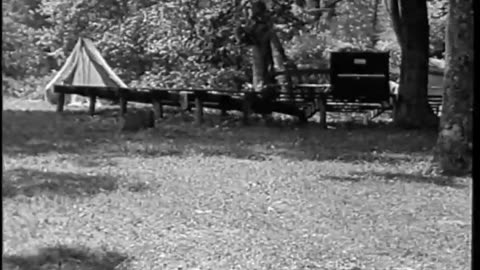 [HAPPY DAYS. HENRY FORD CAMPING PARTY] - [HAPPY DAYS. HENRY FORD CAMPING PARTY] - fc-fc-4809