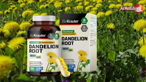 Raíz de Diente de León, 30 Beneficios para la Salud