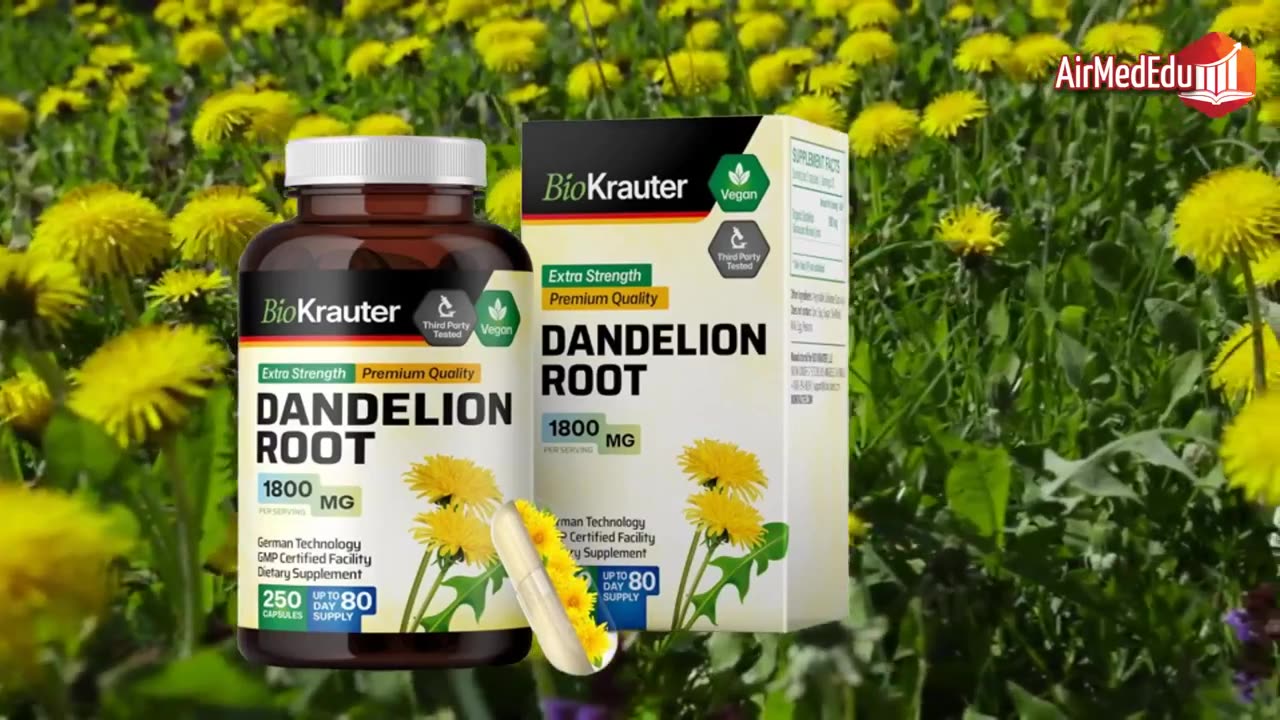 Raíz de Diente de León, 30 Beneficios para la Salud