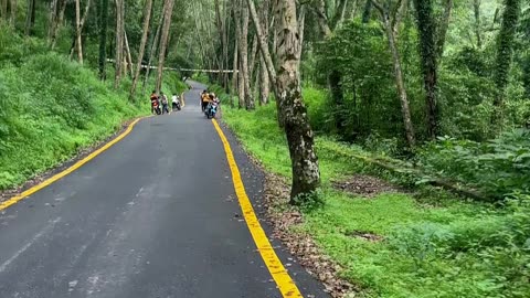 Ride in forest