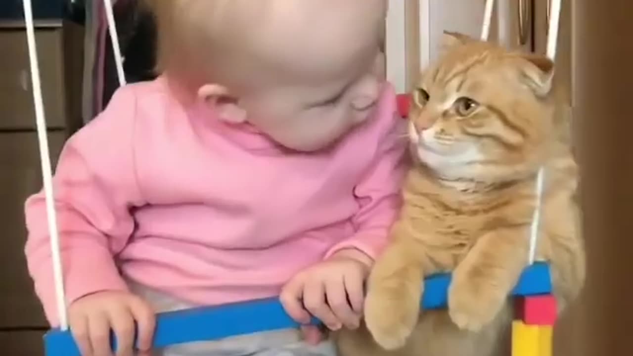 Friendship child and cat