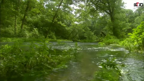 Two Rivers Run Free