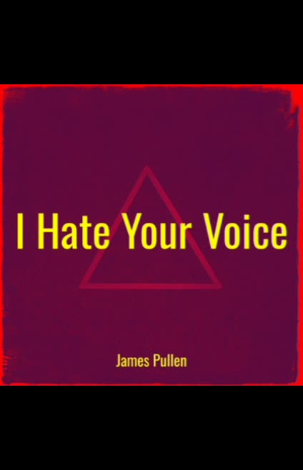 I Hate Your Voice