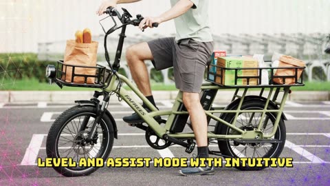 Fafrees FF20 CUV Electric Bike for Adults 250W Cargo E-bike with 48V 24Ah Removable Battery