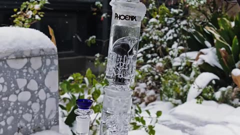 Snow outside, ice inside ❄️ #stonerfam #420