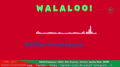 Qophii Walaloo ONM-ABO Amajjii 7-2025 itti dhiyaadhaa!