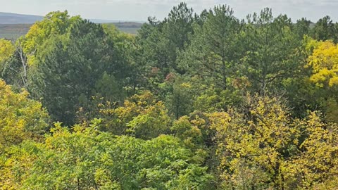 Autumn in a quiet neighborhood Part 2
