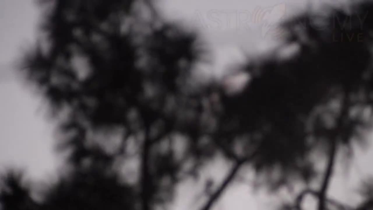 🤯🌊 The Jellyfish Effect Seen From Florida Coast! | FeedMyCuriosity
