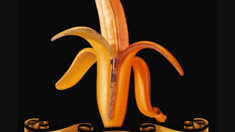 Dandy Warhols 🍌 "Last High"