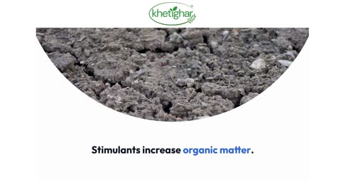 Boost Your Crop Growth with Khetighar’s Best Plant Stimulants