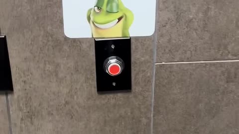 He Couldn’t Resist Bathroom Curiosity — Look What Happened