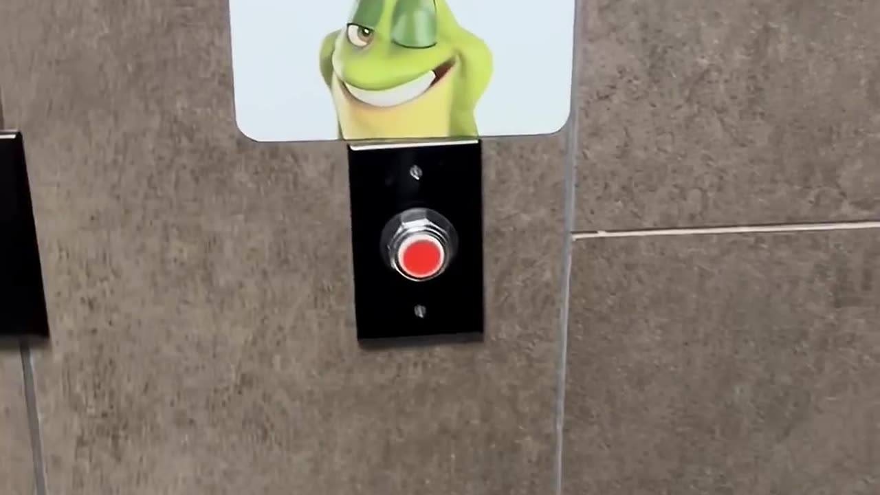 He Couldn’t Resist Bathroom Curiosity — Look What Happened