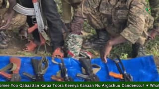 Gabaasa Tarkaanfii ONM-ABO Sadaasa 10-2025 itti dhiyaadhaa!