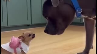 He is a pain in the neck