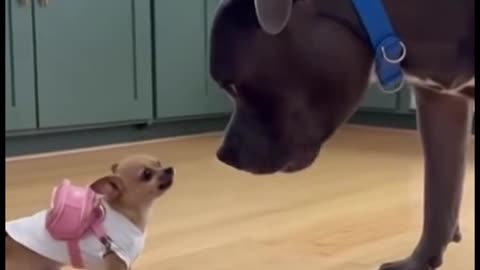 He is a pain in the neck