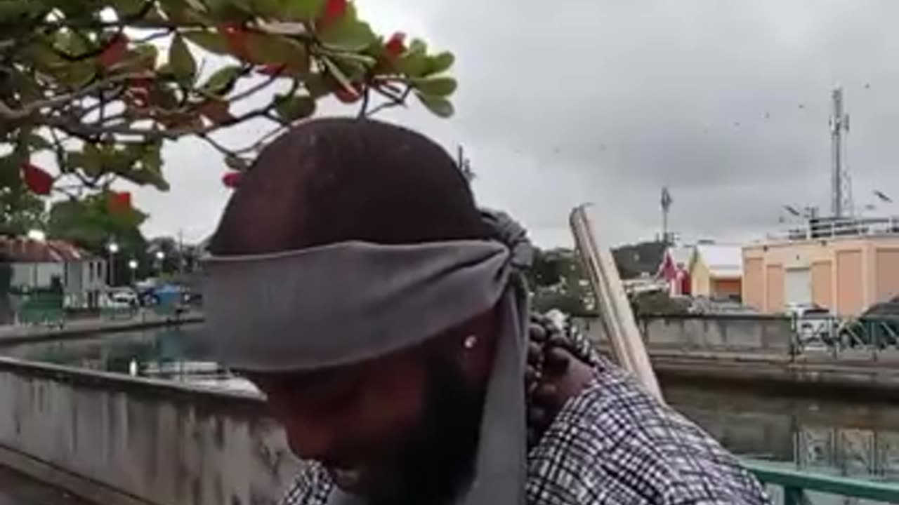 MINISTRY: BEFORE THEY SPRING FORTH I TELL YOU OF THEM 😤