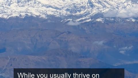 Daily Horoscope | Capricorn 🌟