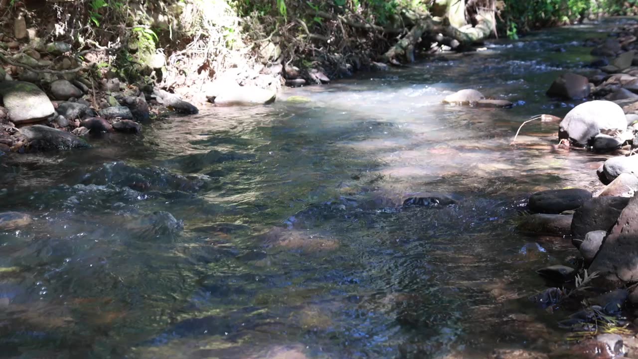 20 MIN Uninterrupted Running Water | Nerang River Sounds for Sleep & Relaxation