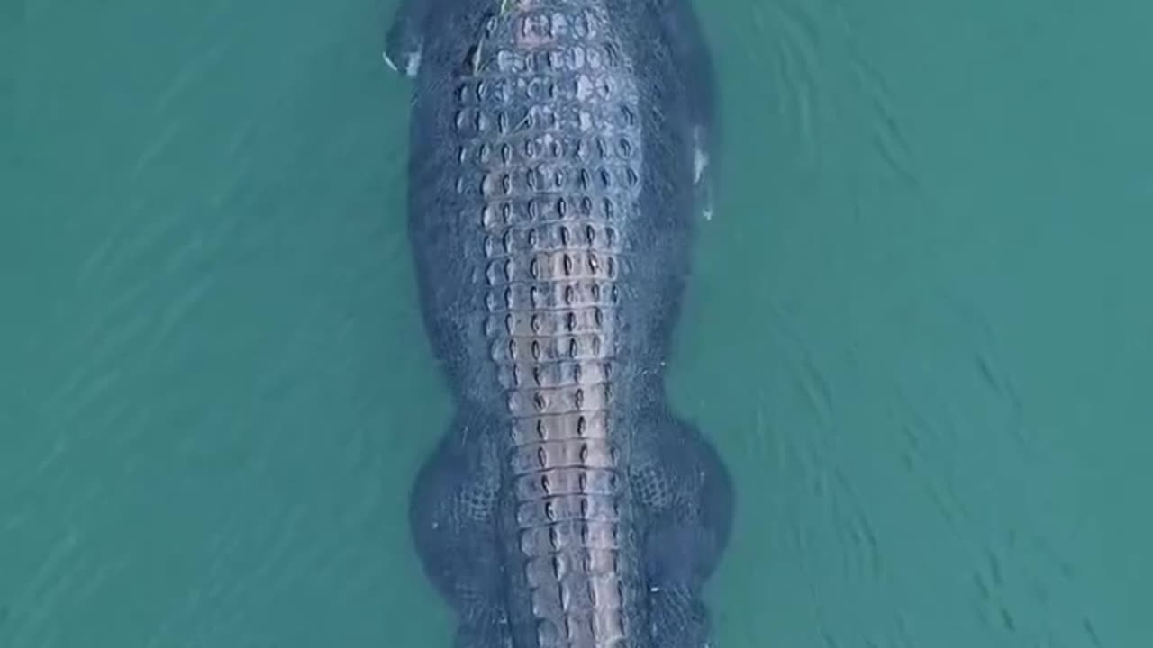 “The One-Armed Crocodile Spirit God 🐊 | Ancient Myth & Mystery”
