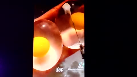 Fake Eggs:
