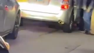 DHS agents detained at least Juan plus Juan this morning in Bensenville.