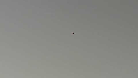 A resident of Schwaebisch Gmuend in Germany filmed this ufo in broad daylight, Take a Look!!!