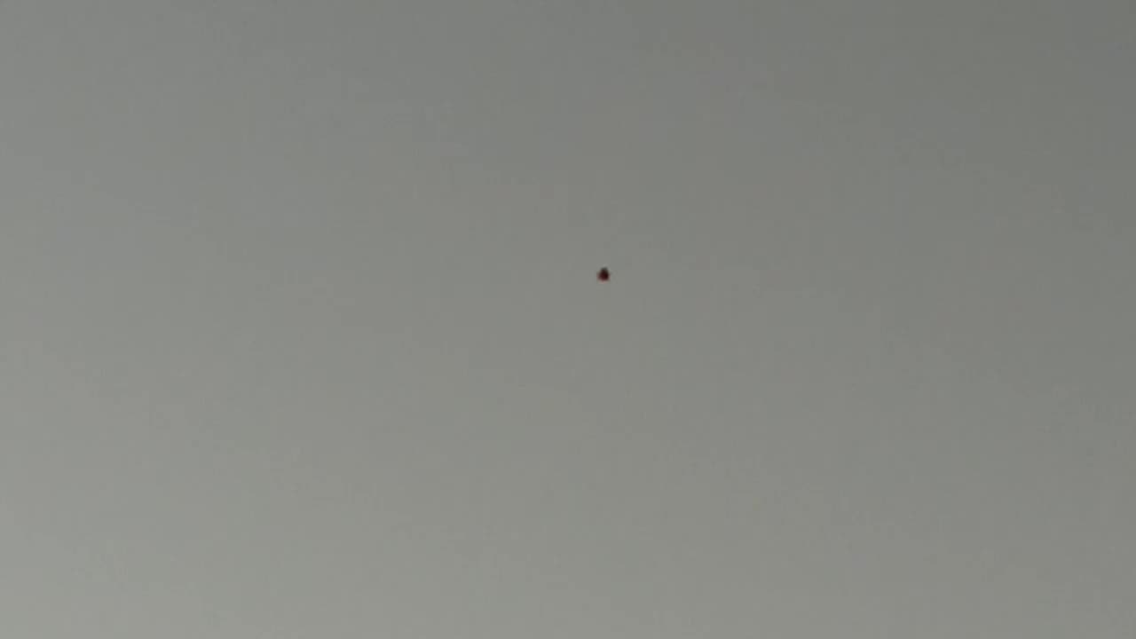 A resident of Schwaebisch Gmuend in Germany filmed this ufo in broad daylight, Take a Look!!!