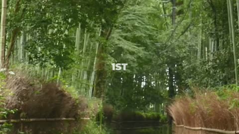 Hidden Gems Adventure Guide: 5 Most In Japan