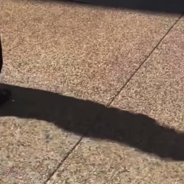 Congressman Tim Burchett with the comeback of the year🤣🤣