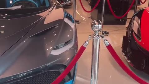 🏎️ The Luxury of Speed: Exotic Car Performance! | LuxurySportsCars