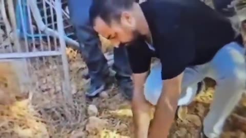 ISRAEL: Shin Bet has arrested four Jerusalem ISIS supporters