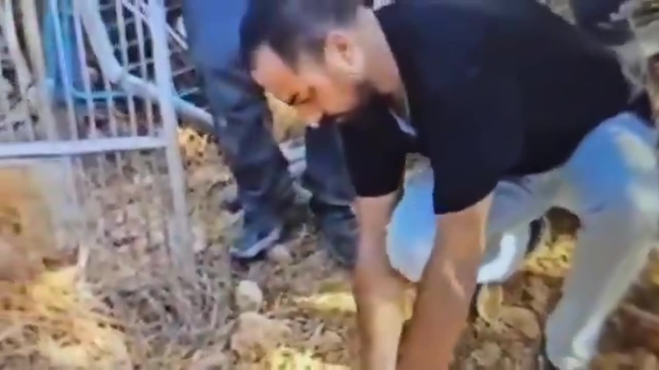 ISRAEL: Shin Bet has arrested four Jerusalem ISIS supporters