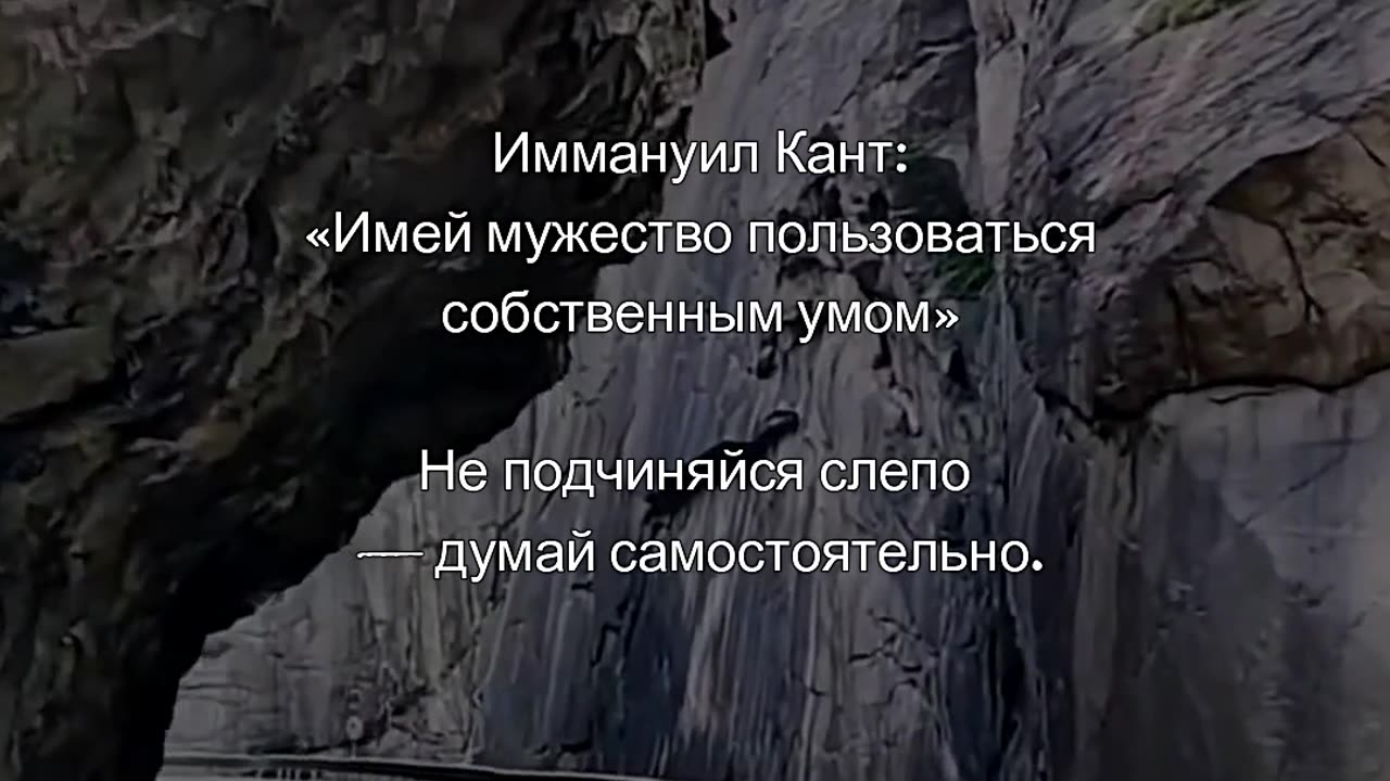 Имей мужество пользоваться собственным умом. #shorts @tompitai 