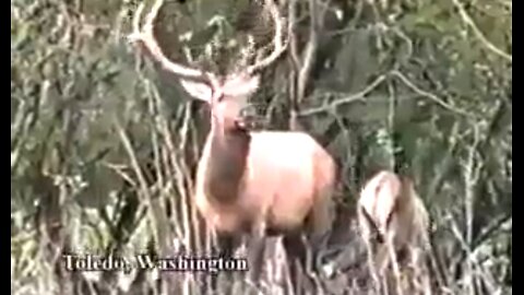 UNCONTROLLED WEAKNESS - DAILY DEVOTIONAL ❤️