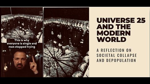 A Depopulation Agenda | Universe 25 Mouse Utopia Experiment - GMS - Greatmillstone