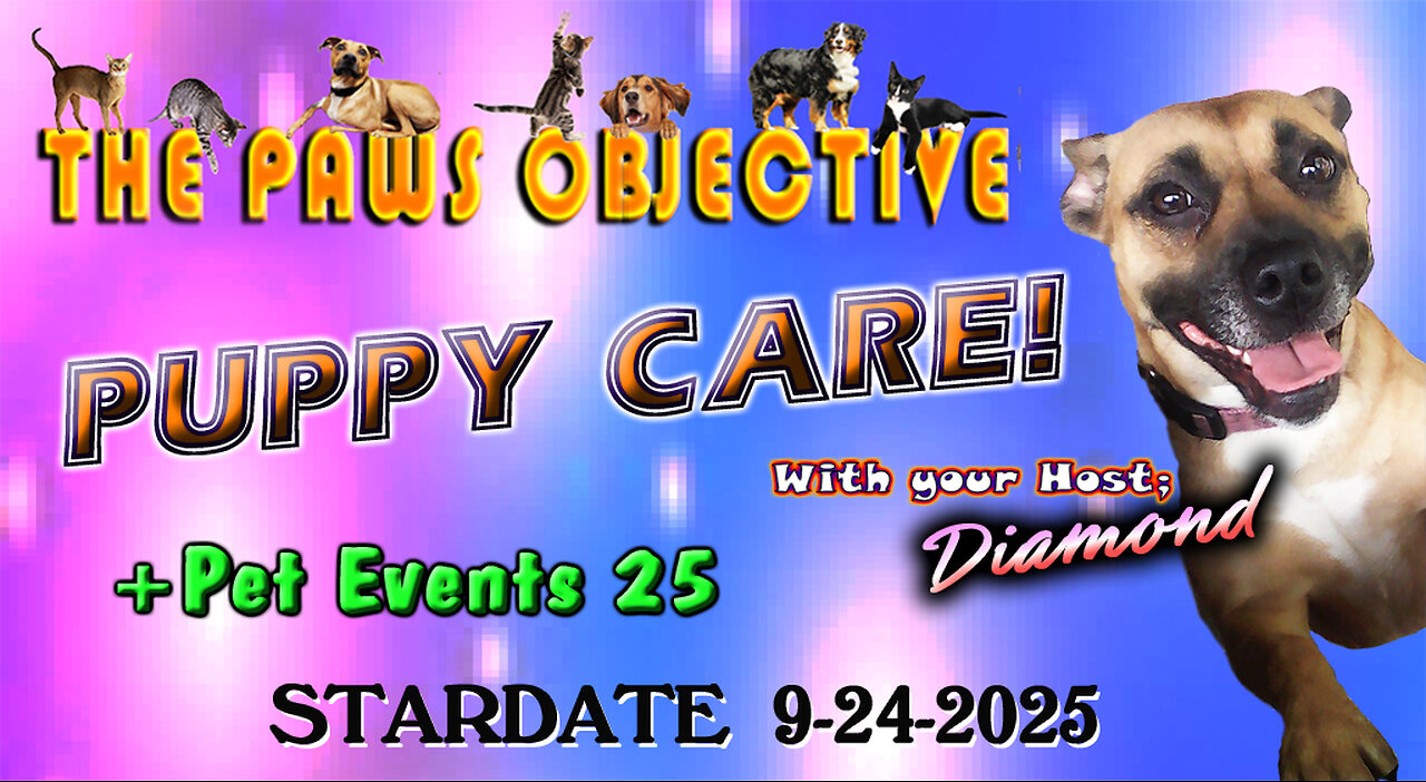 PUPPY CARE & events 2025