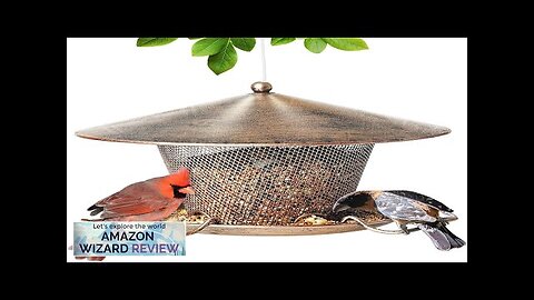 Bird Feeder for Outdoor Squirrel Proof Weatherproof All Metal Hanging Wild Bird Review