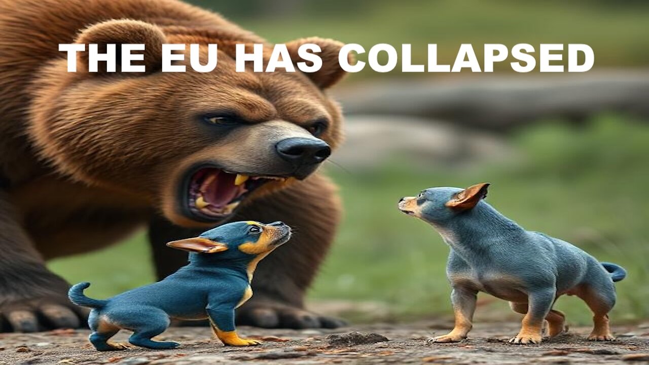 THE EU HAS COLLAPSED AS IT'S SUICIDAL LEADERS SCREAM FOR ATTENTION AND DESTRUCTION
