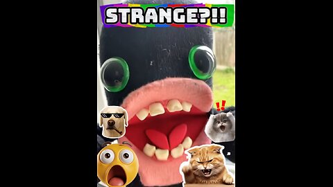 Strange?!!
