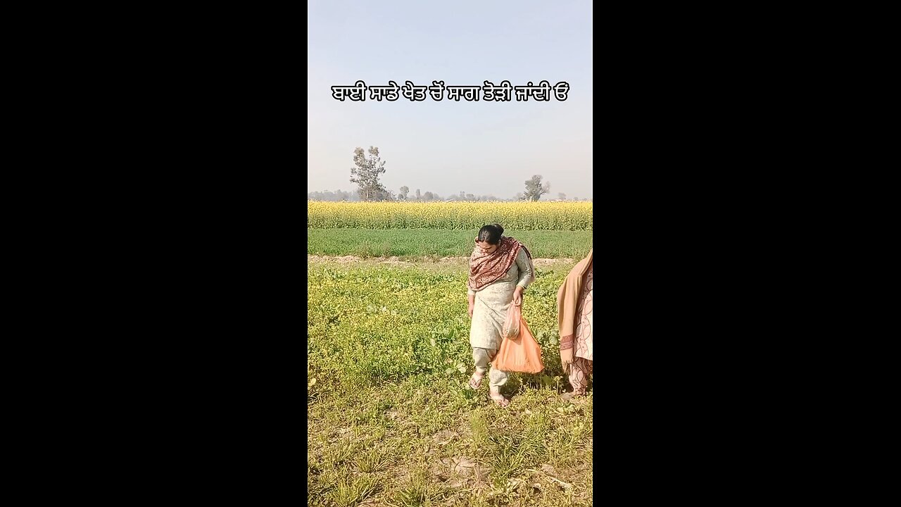#punjabi #punjab #love #instagram #sidhumoosewala #india #punjabiweddi