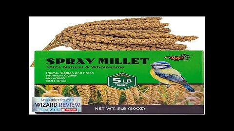 RANZ 5LBS Millet Spray for Birds GMO-Free Sun Dried Spray Millet Original Review