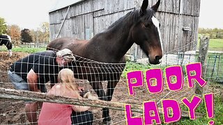 BEWARE This Could Happen On Your FARM Too!