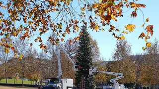 Jesse Watters Primetime (Full episode) - Monday, November 24