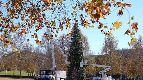 Jesse Watters Primetime (Full episode) - Monday, November 24