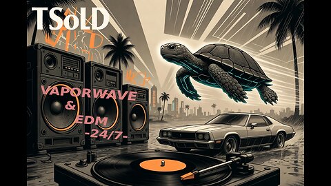 24/7 EDM and VAPORWAVE mixtapes stream by TSolD - MT|DO# MT|SO#