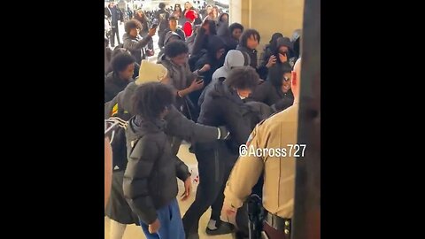 Tampon Tim Welcomed High School Students To The Capitol To Protest ICE And Pandemonium Ensued