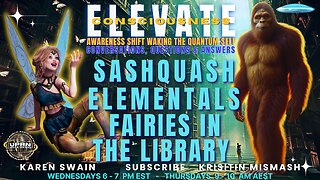 LFairies in the Library - ELEVATE Waking The Quantum Self