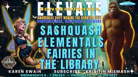 LFairies in the Library - ELEVATE Waking The Quantum Self
