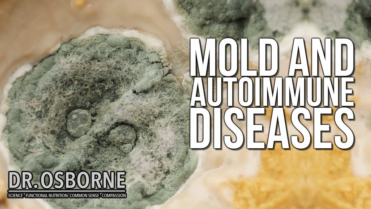 Mold and Autoimmune Diseases: Symptoms and Solutions (and more questions answered!)