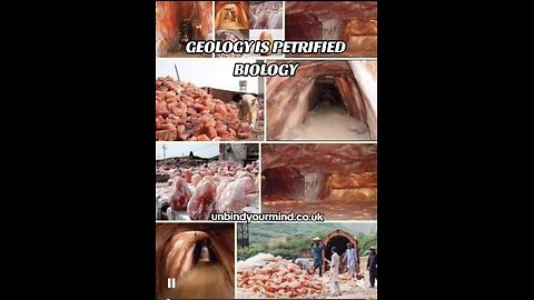 Geology is actually petrified biology